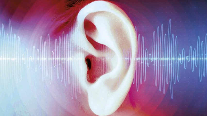 Micronutrients May Help In Tinnitus Induced Hearing Loss