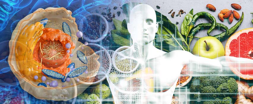 The Cellular Medicine approach to detoxification